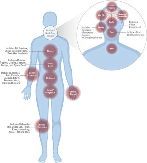 Blast Injury Research Coordinating Office (BIRCO) - BIPSR Process ...