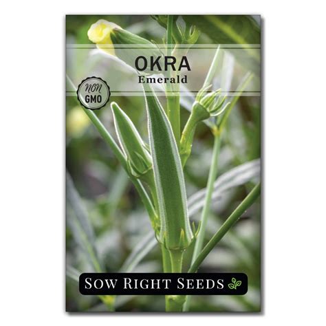 Okra Seed Collection for Planting in Your Home Vegetable Garden – Sow ...