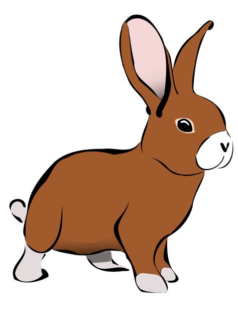 Free Bunny Rabbit Clipart, Download Free Bunny Rabbit Clipart png ...