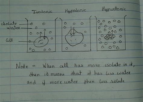 write a short note on hypertonic ,hypotonic and isotonic solution? draw ...