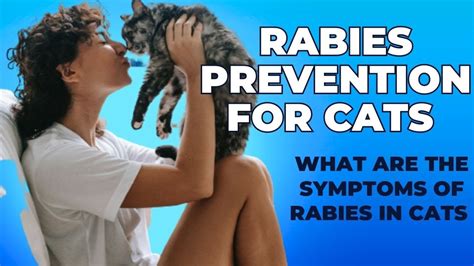 Rabies Prevention for Cats / Rabies in Cats / Cat Grooming - YouTube