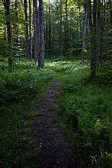 Category:Trails in West Virginia - Wikimedia Commons