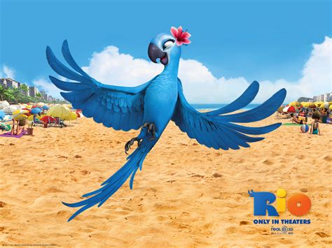 BIOFLAGRANTES*: AVES DO FILME RIO