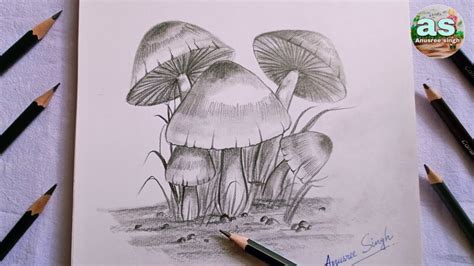 How to draw mushroom easily. Easy mushroom drawing with pencil. - YouTube