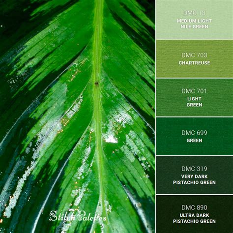 Shades Of Green - Embroidery Color Palette (With Thread Codes)