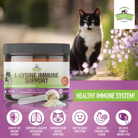 Lysine for Cats - Best L-lysine Powder Supplement - Strawfield Pets Al