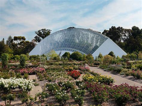 Adelaide Botanic Garden - Adelaide, Attraction | SA Tourism