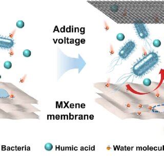 Schematic diagram of membrane separation process without and with ...