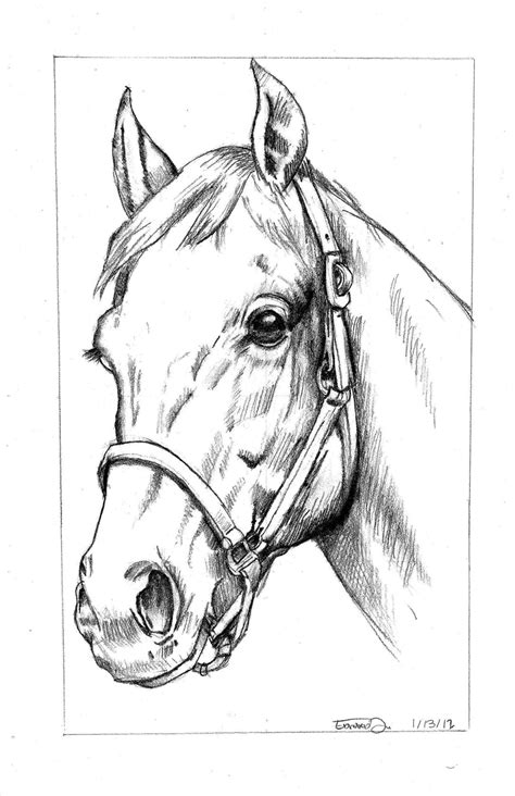 Easy Horse Head Drawings In Pencil