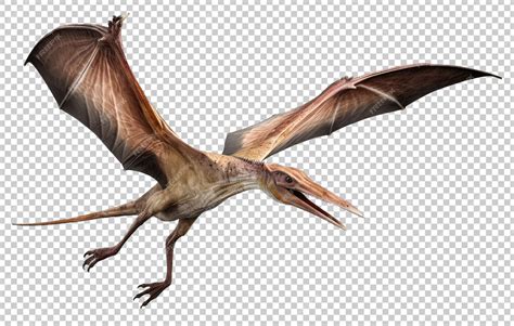 Flying Pterodactyl Isolated on Transparent Background | Premium AI ...