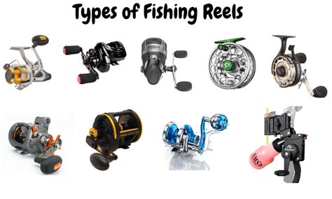 All Types Of Fishing Reels: An In-Depth Guide