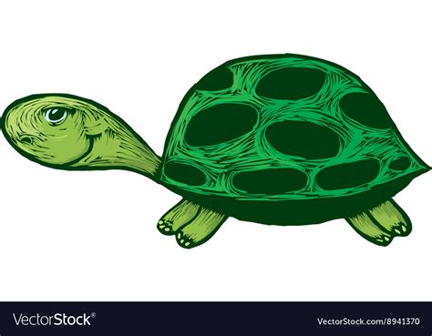 Smiling turtle cartoon Royalty Free Vector Image