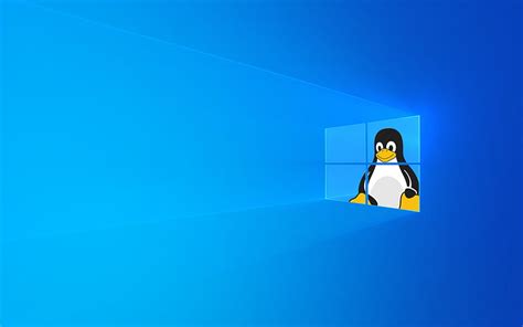 Tux Behind the Window : linux, Linux vs Windows HD wallpaper | Pxfuel