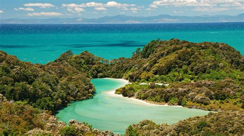 Best Beaches in New Zealand - Beach Tomato