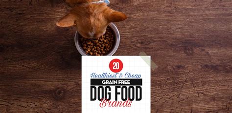 Top 20 Cheap Best Grain Free Dog Food Brands in 2018