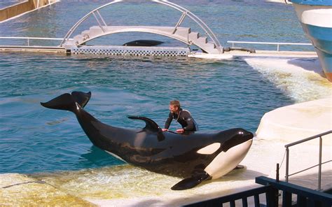 Marineland Antibes, aan de Côte d'Azur, is het grootste zeedierenpark ...