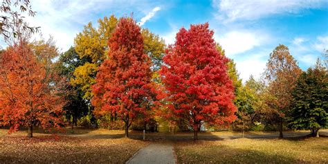 fall - Piedmont Park Conservancy, Inc.