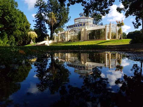 Reflections in the Adelaide Botanic gardens : r/Adelaide