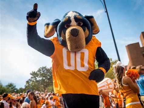 University of Tennessee unveils Smokey statues on Knoxville campus