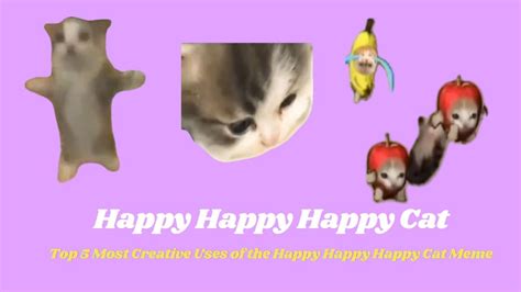 Happy Happy Happy Cat Meme Download