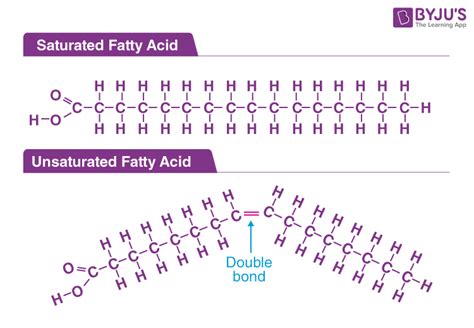 Fatty Acid Groups - What are Fatty Acids?, Classification, Productions ...