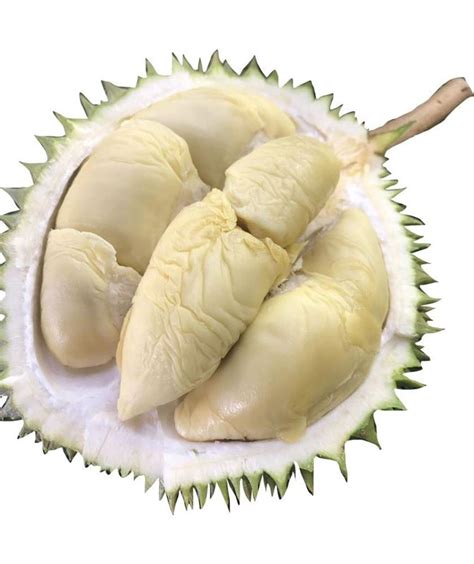 New Season Durian - D24 XO