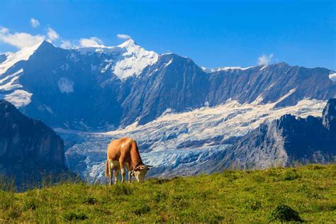 20 Best Places to Visit in Switzerland