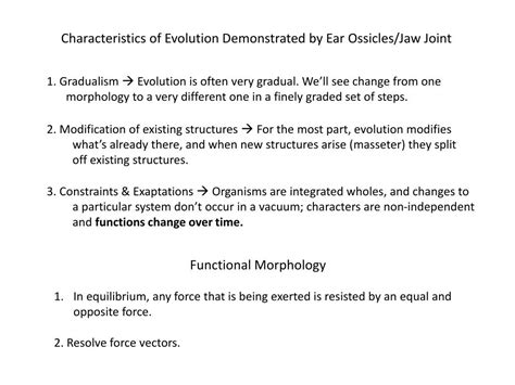 PPT - Lecture 8 – Evolution of Ear Ossicles PowerPoint Presentation ...