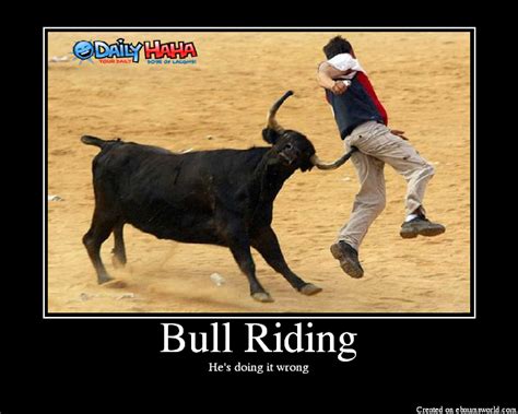 Bull Riding - Picture | eBaum's World