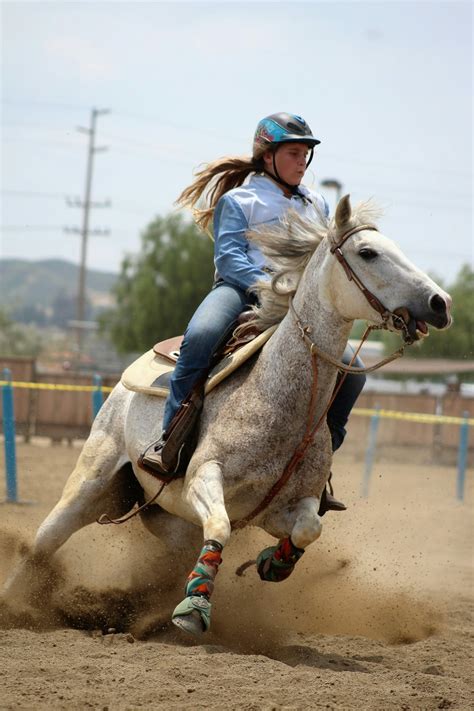 western and barrel racing | 2 best free western, animal, rodeo and ...