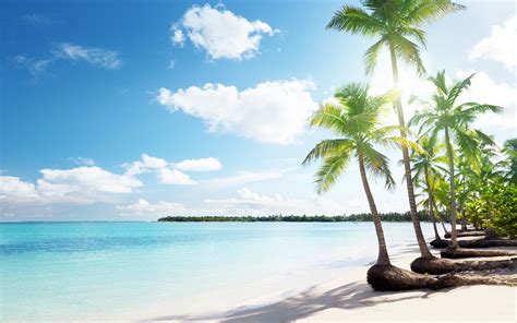 Tropical sand beach palms wallpaper | 1920x1200 | #32305