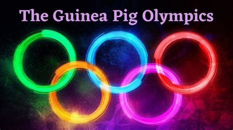 The Guinea Pig Olympics - YouTube