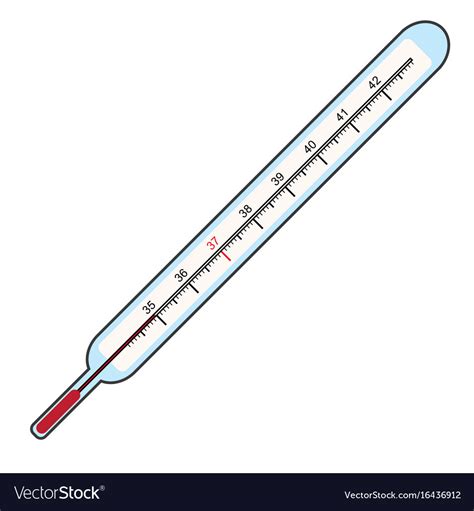 Clinical thermometer Royalty Free Vector Image