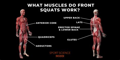 Squat Form Diagram