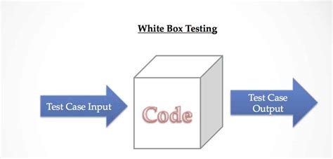 What Is The Difference Between Black Box And White Box Testing ...