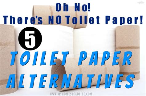 Oh No! There's NO Toilet Paper! 5 Toilet Paper Alternatives - My ...