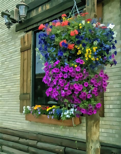 City Bouquets, Steamboat Springs, Colorado, USA © 2009 Pat… | Flickr