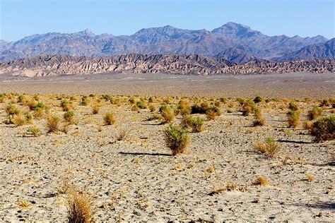 What is an Arid Climate?