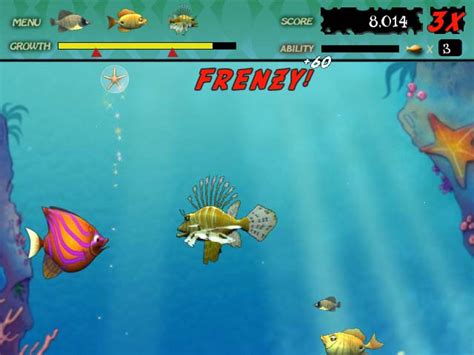 Play Feeding Frenzy > Online Games | Big Fish