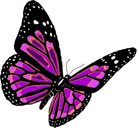 Butterfly PNG Images Transparent Free Download | PNGMart.com