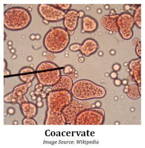 What-are-Coacervates | EasyBiologyClass