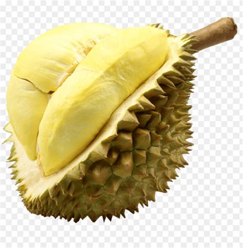 Durian Monthong Fruit Thailand - Thailand Duria PNG Transparent With ...