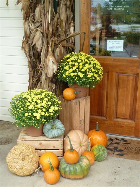 Ceremony possibilities: Two fall blooming plants near "altar" space ...