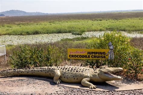 Adelaide River Jumping Crocodile Cruises: Spectacular Jumping Crocodile ...