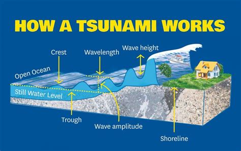 Tsunami - UPSC World Geography Notes