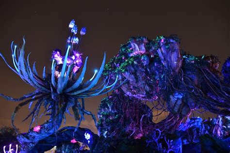 Night Photos Inside Pandora – The World of Avatar at Disney’s Animal ...