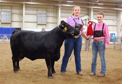 Expo Photos - American Dexter Cattle Association