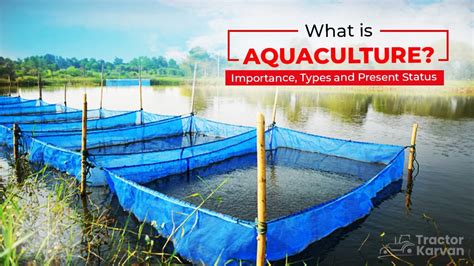 What is Aquaculture - Benefits & Importance