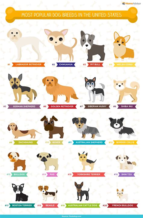 Types Of Dog With Name And Photo at genrayablog Blog