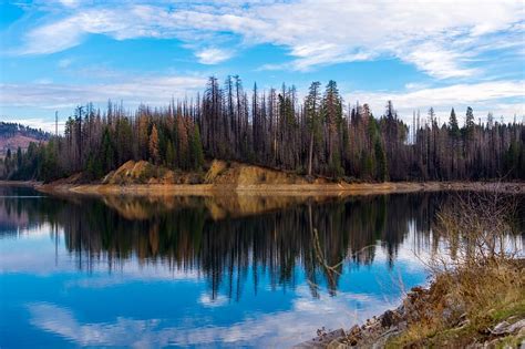 Lake Reflection, forest, water, reflection, lake, HD wallpaper | Peakpx